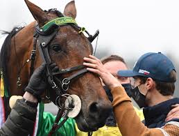 Видео prix d'amérique 2016 : Face Time Bourbon Repeats In The Prix D Amerique Harness Racing Update