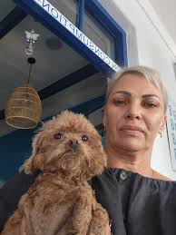 Brown Poodle type dog found at Theo's Taverna in Vermont, Onrus, Sandbaai,  Hermanus