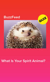 What Is Your Spirit Animal Spirit Animal Quiz Your Spirit Animal Find Your Spirit Animal
