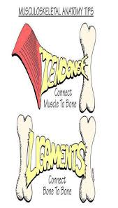 Herbalhealthblog Com Domain For Sale Surgical Nursing Nursing Mnemonics Nursing School Survival