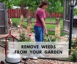 Back to eden was made popular by paul gautschi. 12 Ways To Make Weeds Go Away Naturally Life Is Just Ducky