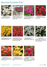 With red flowers, pink flowers and even white flowers often stealing the show, yellow flowers sometimes feel overlooked at other times of the year. Proven Winners Summer Look Book By Kernock Park Plants Issuu