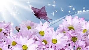 Select a beautiful wallpaper and click the yellow download button below the image. Summer Flower Wallpapers Top Free Summer Flower Backgrounds Wallpaperaccess