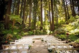 12 Redwood Wedding Venues In The Bay Area Forest Wedding Venue Redwood Wedding Redwood Wedding Venue