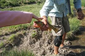 Colorado river discovery | our company provides half day rafting trips on the mighty colorado river through beautiful glen canyon. Go Small How To Fish With Kids And Want To Go Back Open Spaces Trib Com