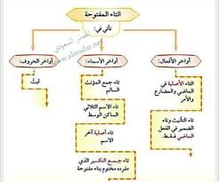 خرائط ذهنية للتاء المربوطة والتاء أجمل ما قرأت في اللغة و الأدب 2 Facebook