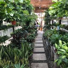 Los angeles and beverly hills are highly modernized and developed. Best Plant Shops In Los Angeles Jacqueline Weiss