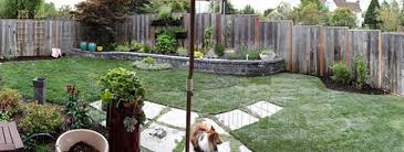 Tyrell says some tall grasses, including maiden grass ( miscanthus spp.), create a semitransparent screen that allows sunlight in but also creates some privacy. Northern Lights And Rainmakers Inc Using Strategic Landscaping To Create Privacy In Your Backyard