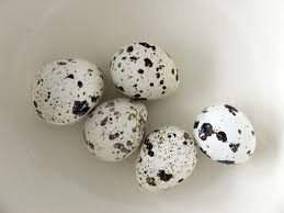 Fertile Bird Eggs For Sale Usa Small Bird Eggs Bird Eggs Egg Art Easter Egg Hunt