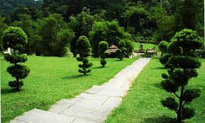 Taman botani pulau pinang atau taman kebun bunga pulau pinang terletak berhampiran dengan georgetown, pulau pinang. Photo