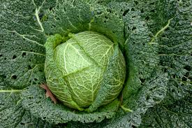 So, how long do you boil cabbage? How To Cook Cabbage Great British Chefs