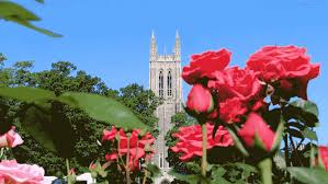 Share a gif and browse these related gif searches. Duke Chapel Spring Gif By Duke University Find Share On Giphy