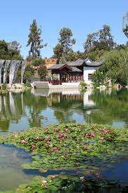 The Huntington Library And Botanical Gardens Chinese Garden Japanese Garden Japanese Garden Design