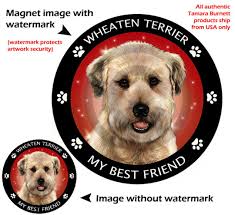 Soft Coated Wheaten (puppy Cut) My Best Friend Circular Magnet