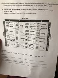 Solved 19 If There Are 100 Amino Acids In A Particular P