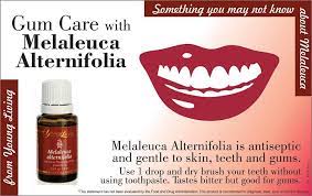 Pin On Young Living Oil Health Wellness