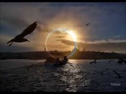 Fatih Kisaparmak Portakal Cicegi Portakal Muzik