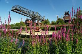 Duisburg Nord Landscape Recreational Parks Outdoor Cinema