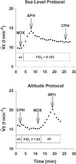 sea level sl and altitude ventilatory protocols