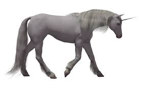 Clipart Unicorn Transparent Background Picture 711889 Clipart Unicorn Transparent Background Check out our unicorn transparent selection for the very best in unique or custom, handmade pieces from our shops. clipart unicorn transparent background