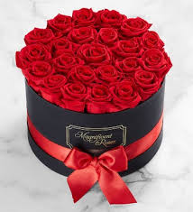 When you order flowers for delivery, you'll receive a photo of the finished product when it's ready for delivery, so you can share in the joy of your generous gift! Toronto Florist Flower Delivery Toronto Ontario Flower Shop Flowers Of The World