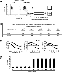 Following breast cancer are prostrate and. Inducible Formation Of Breast Cancer Stem Cells And Their Dynamic Equilibrium With Non Stem Cancer Cells Via Il6 Secretion Pnas