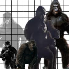 Top 100 Godzilla Vs King Kong Size Chart Queen Bed Size