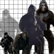 top 100 godzilla vs king kong size chart queen bed size