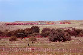 Image result for tbn:cRxpWML3C6TQFM::farm3.static.flickr.com/2382/2420623259_e3c8cd4fd8.jpg