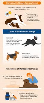 If you own a dog, you may be familiar with finding tufts of some breeds also have excessive hair loss when they are losing their puppy hair and growing their adult fur. Dog Hair Loss Common Causes Treatment Canna Pet