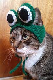 Pin By Diane Britson On Knitting And Crochet Patterns For Pets Hat For Cat Hats For Cats Crochet Cat