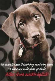 · alles gute zum geburtstag ️ schönes geburtstagslied ️ geburtstagswünsche mit text lyric video duration 305. Geburtstagsspruche Lustig Kurz Geburtstagstorte