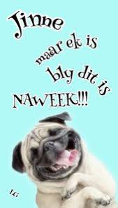 Pin By Rina Phillip Rina888 On Afrikaans Afrikaans Bly Goeie More