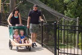 Adorable local zoo, always very clean, friendly and knowledgeable staff and volunteers, the bobcats backstage present. Plan Your Visit Niabi Zoo