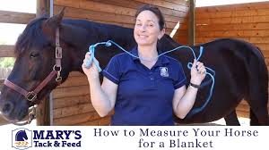 How to measure a horse for a blanket. How To Measure A Horse For A Blanket Marys Tack Feed