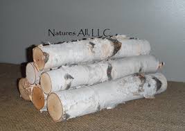 Decorative White Birch Logs For Fireplace Pin On Fireplace Logs