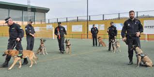 Policías locales enseñan a los niños que las drogas no son inocuas
