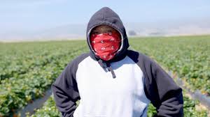 Find out what is the full meaning of fruits of labor on abbreviations.com! Fruits Of Labor