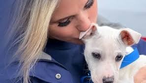 Leading Animal Policy Expert and Best-Selling Author, Mark Cushing,  Addresses “The Ethics of Puppies” at American Humane Policy Dinner
