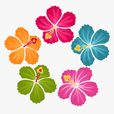 Multiple sizes and related images are all free on clker.com. Hibiscus Flowers Flower Clipart Hibiscus Flowers Hibiscus Flower Hawaiian Flowers Clip Art Hd Png Download Kindpng