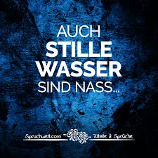 Auch Stille Wasser Sind Nass Fun Witzige Sprüche