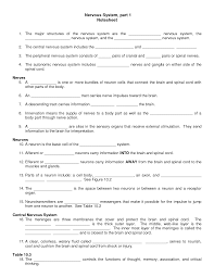 Central Nervous System Vs Peripheral Nervous System Worksheet Google Search Nervous System Lesson Peripheral Nervous System Nervous System
