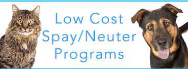 Others will have an added income requirement. Low Cost Spay Neuter Programs Mitchell County Animal Rescue