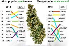 List kush names and pictures. What Would You Name Your Marijuana Strain