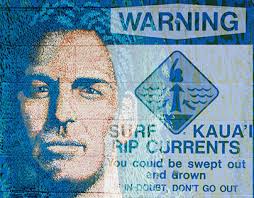 Kauai Tropical Projects :: Photos, videos, logos, illustrations and  branding :: Behance