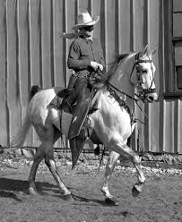 Pin On A Passion For Horses