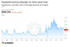 Soybean Prices Drop To Nine Year Low On Us China Trade War Fears