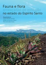 Image result for Zygophlebia villosissima