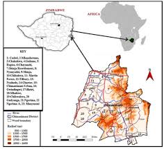 Image result for Olinia chimanimani