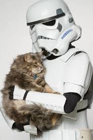 Star Wars Cosplayers Pose With Adoptable Animals From The Ottowa Humane Society To Help Find Them New H Star Wars Villains Star Wars Characters Star Wars Theme